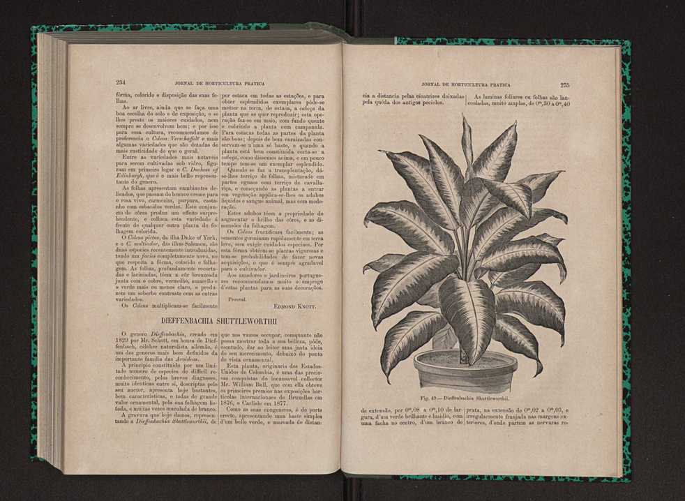 Jornal de horticultura pr�tica IX 126