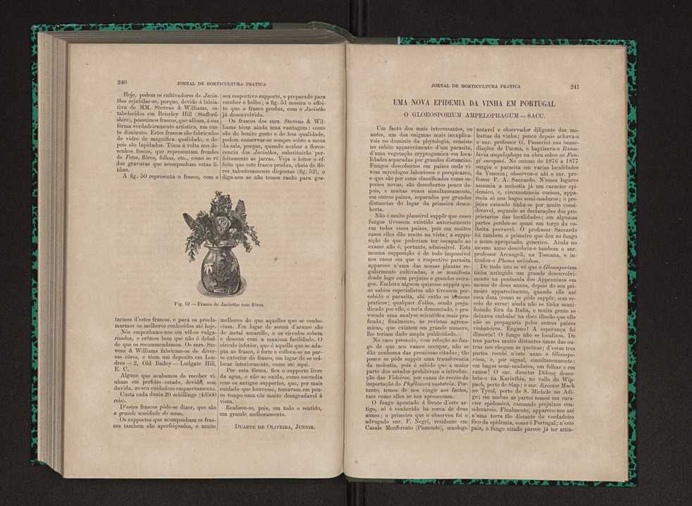 Jornal de horticultura prtica IX 129