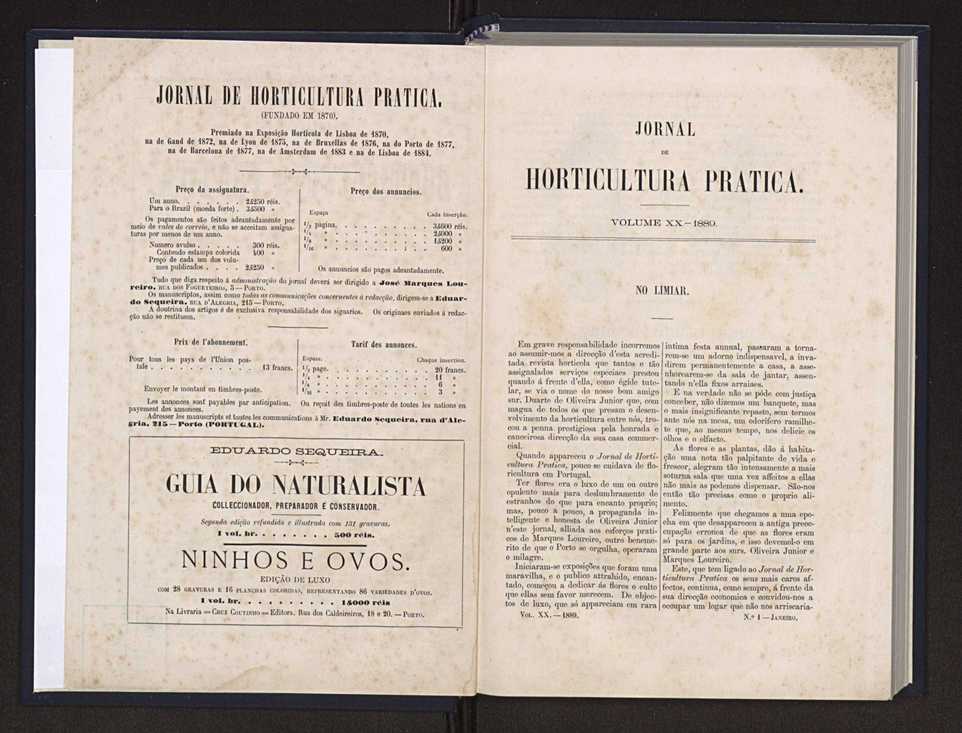 Jornal de horticultura pr�tica XX 4