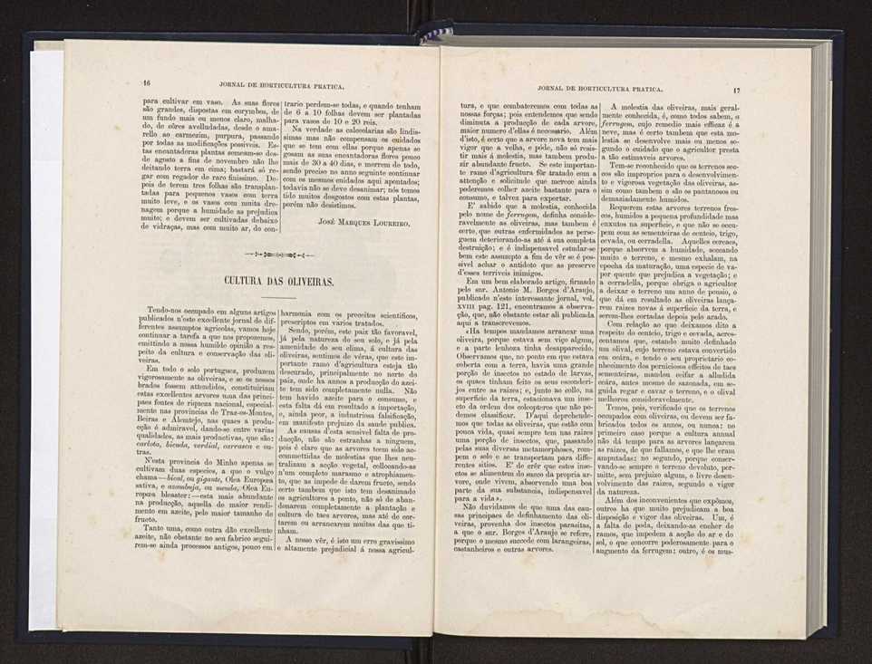 Jornal de horticultura pr�tica XX 12
