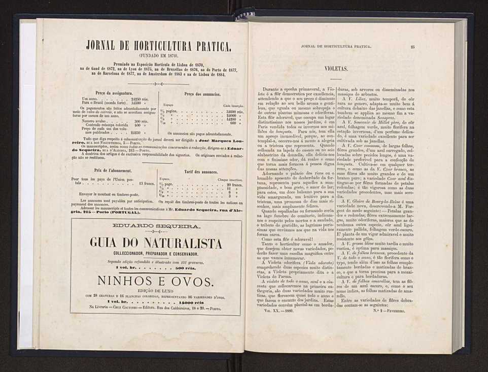 Jornal de horticultura prtica XX 18