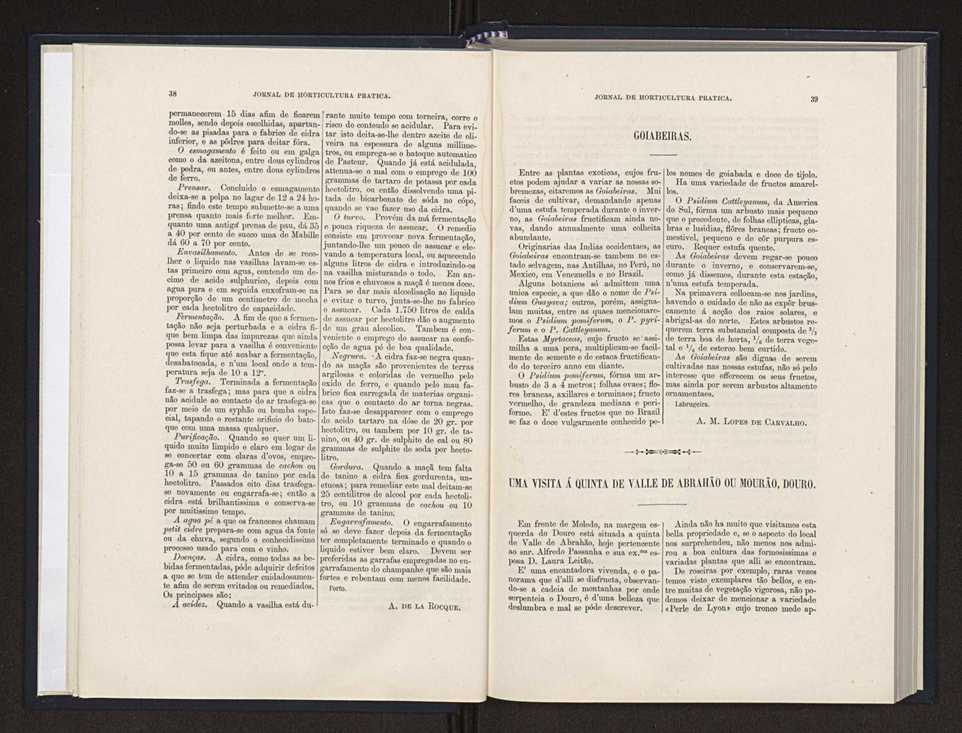 Jornal de horticultura prtica XX 25