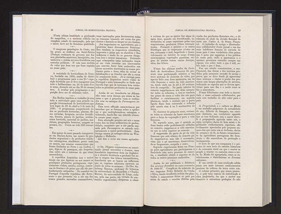 Jornal de horticultura prtica XX 29