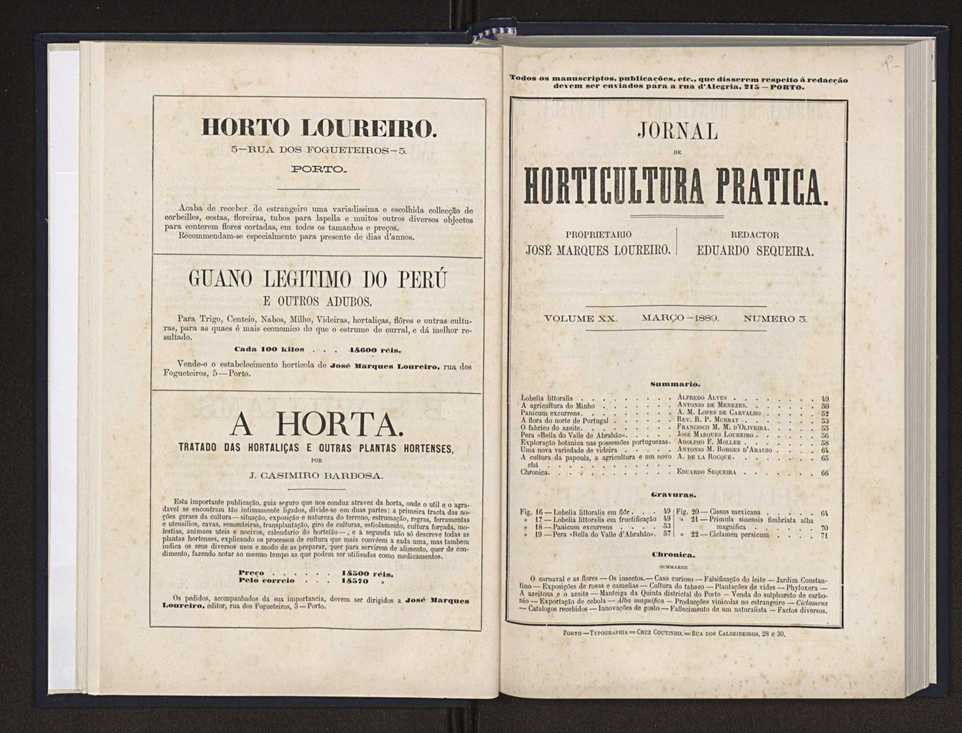 Jornal de horticultura prtica XX 31