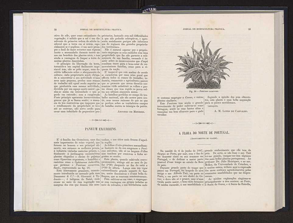 Jornal de horticultura prtica XX 34