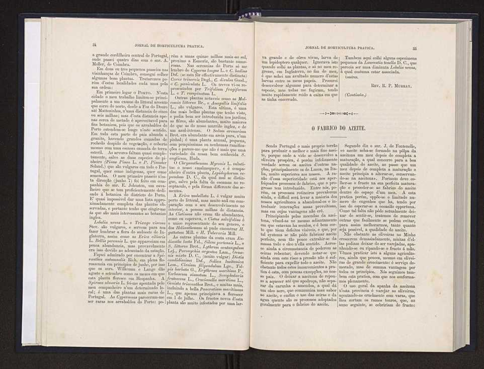Jornal de horticultura prtica XX 35