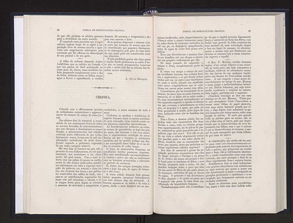 Jornal de horticultura prtica XX 41