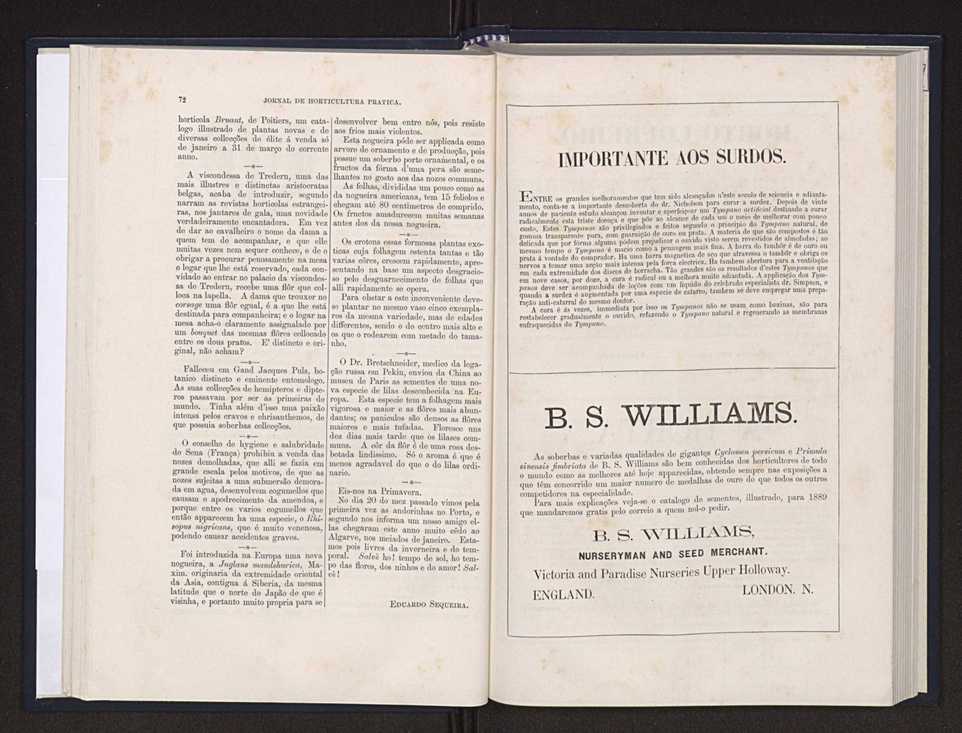 Jornal de horticultura prtica XX 44