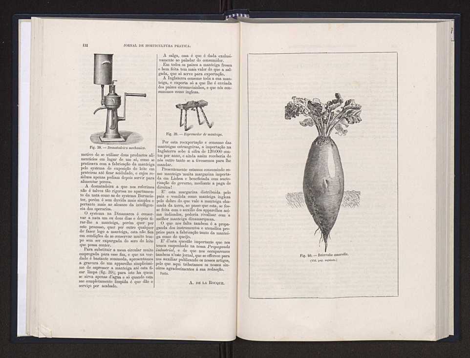 Jornal de horticultura prtica XX 50