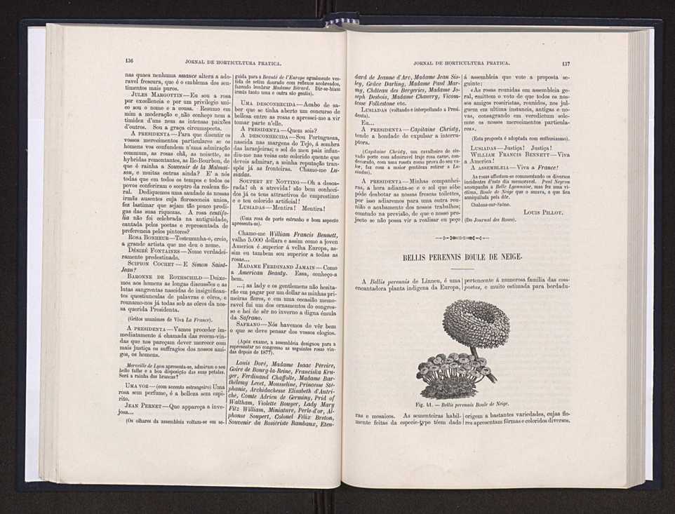 Jornal de horticultura prtica XX 52