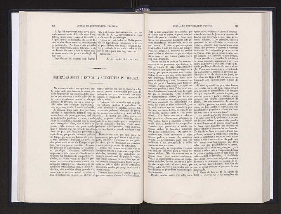 Jornal de horticultura prtica XX 53