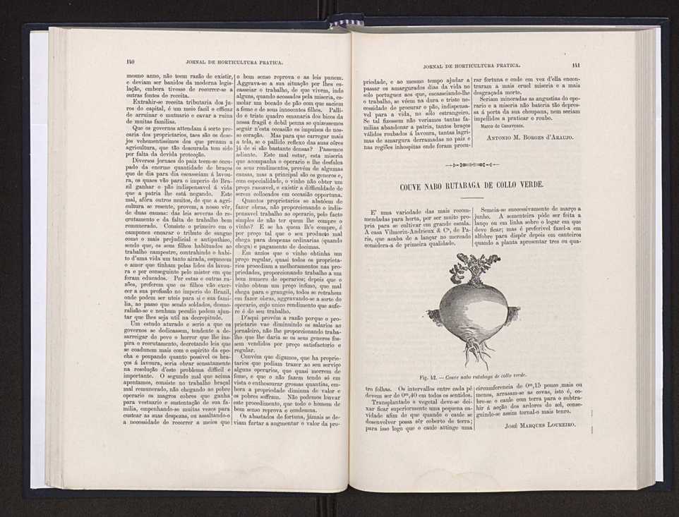 Jornal de horticultura prtica XX 54