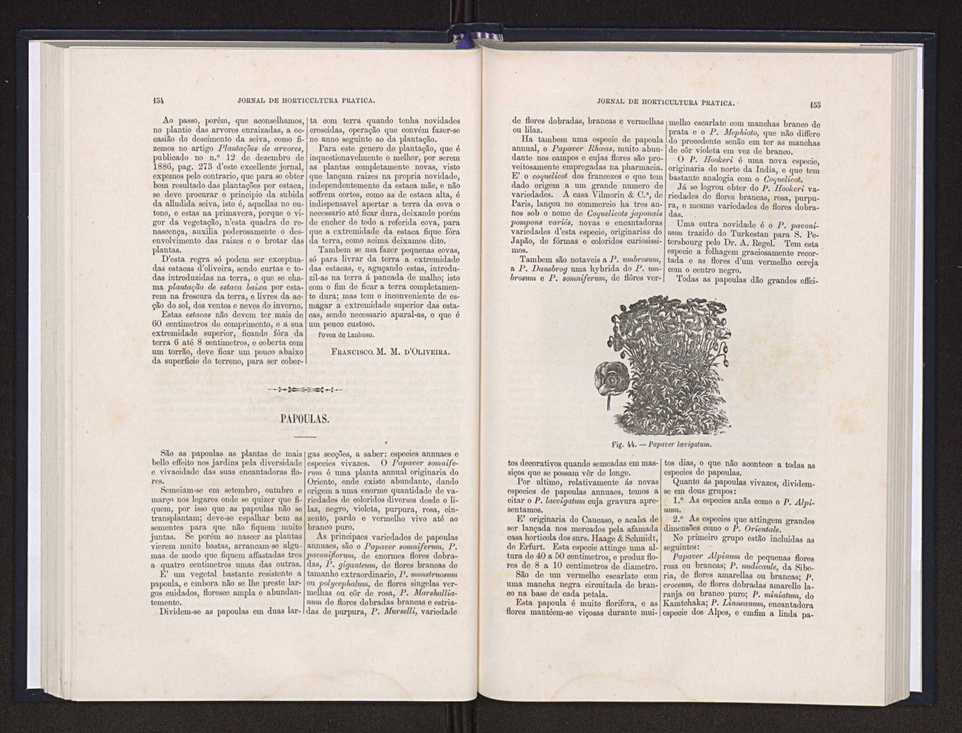 Jornal de horticultura prtica XX 63
