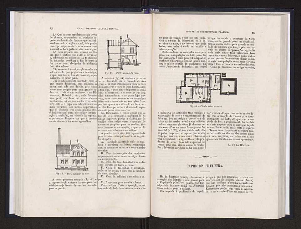 Jornal de horticultura prtica XX 67