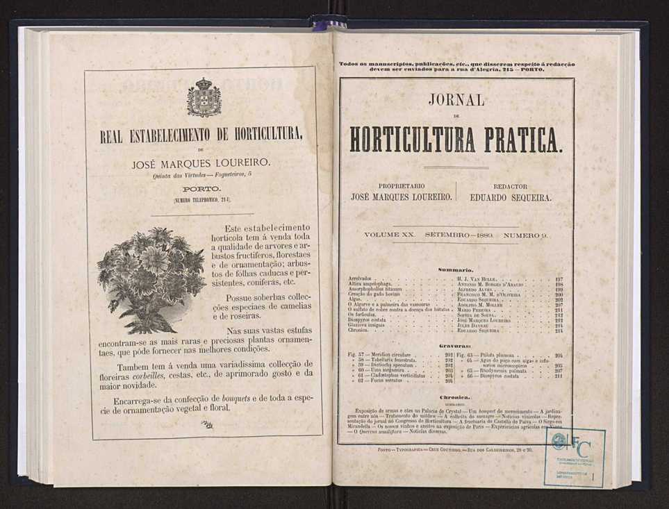 Jornal de horticultura prtica XX 73