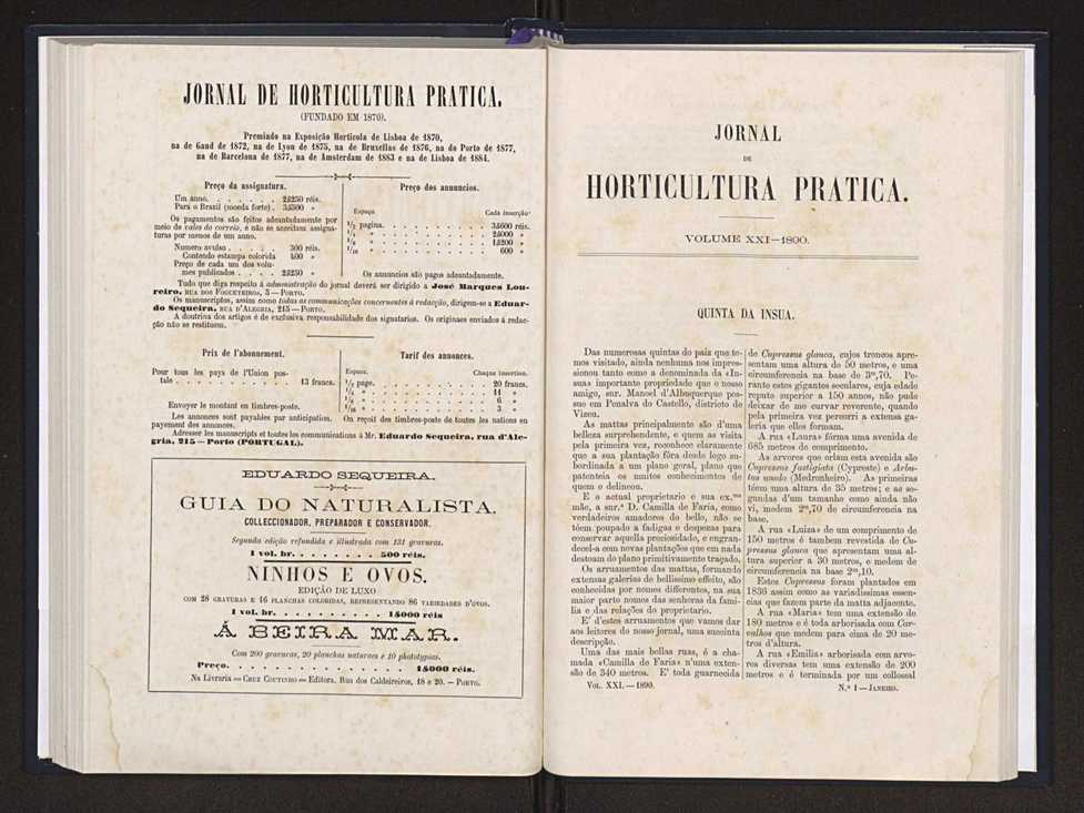 Jornal de horticultura prtica XXI 2