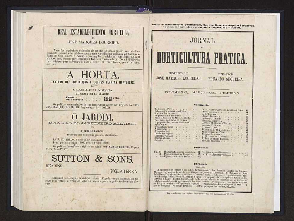 Jornal de horticultura prtica XXI 15