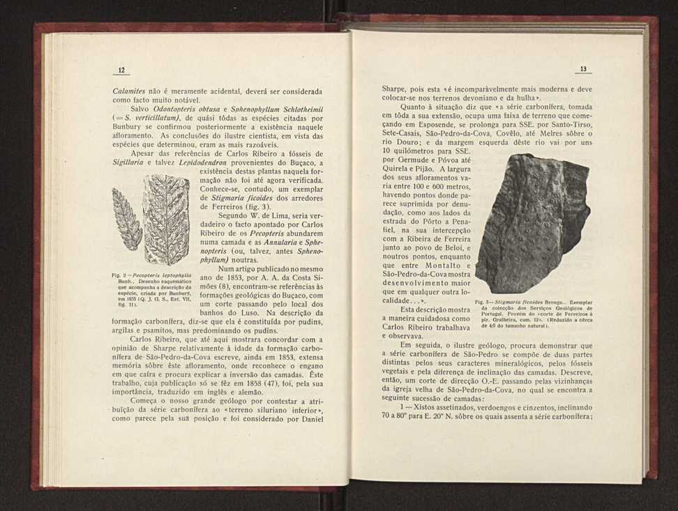 Oantracoltico continental portugus:estratigrafia:tectnica 15