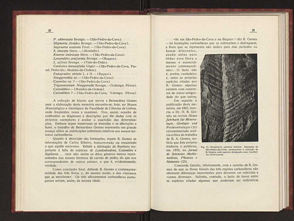 Oantracoltico continental portugus:estratigrafia:tectnica 20