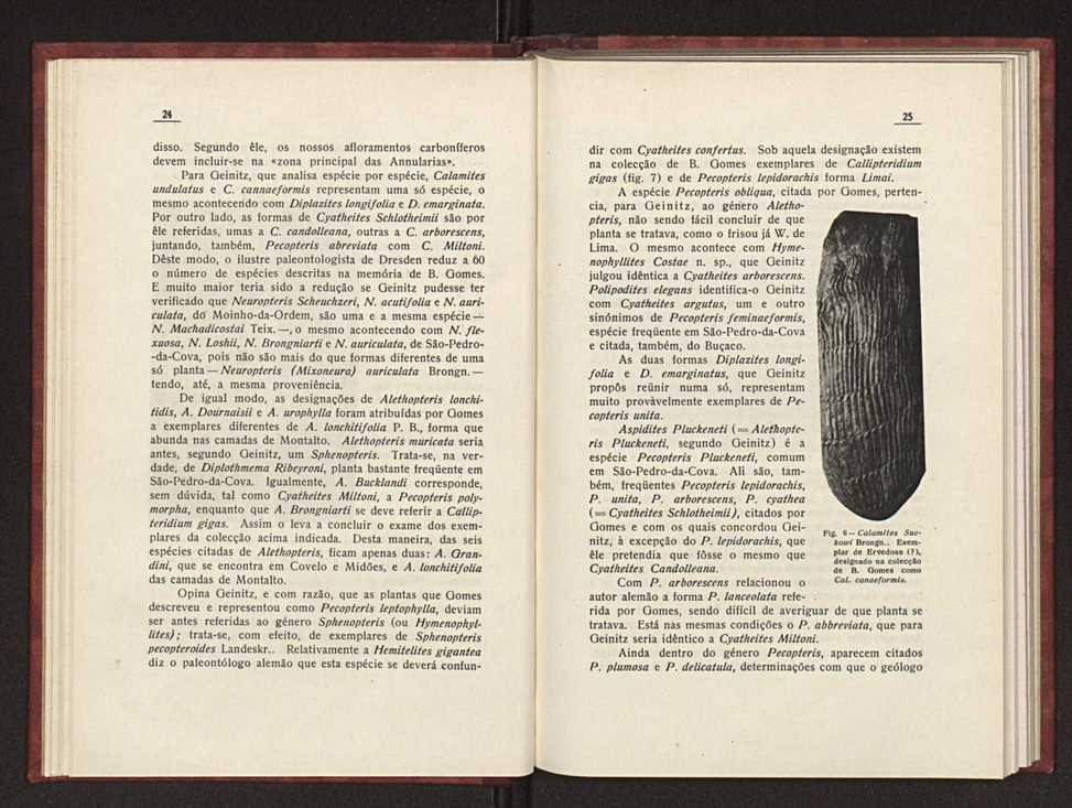 Oantracoltico continental portugus:estratigrafia:tectnica 21
