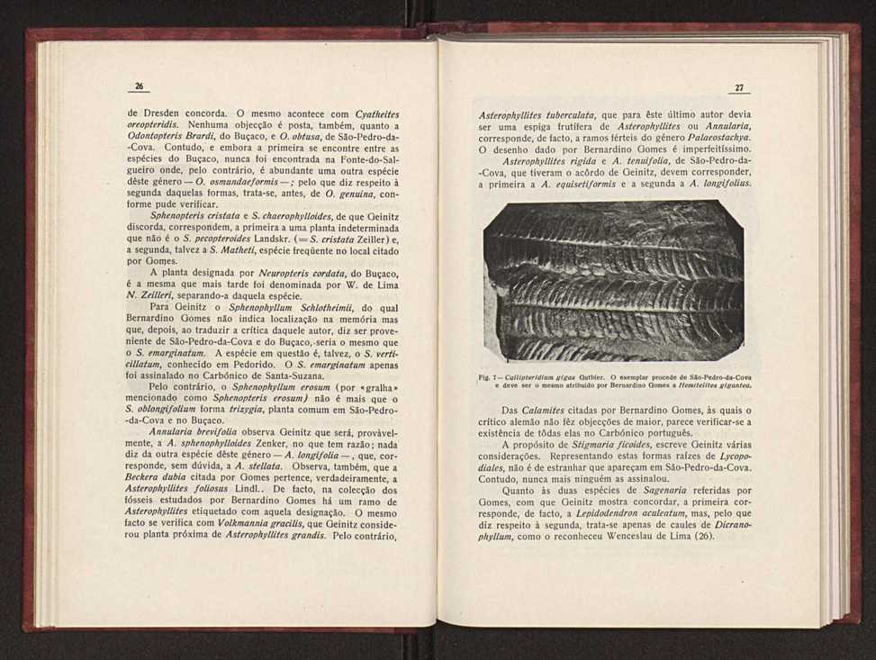 Oantracoltico continental portugus:estratigrafia:tectnica 22