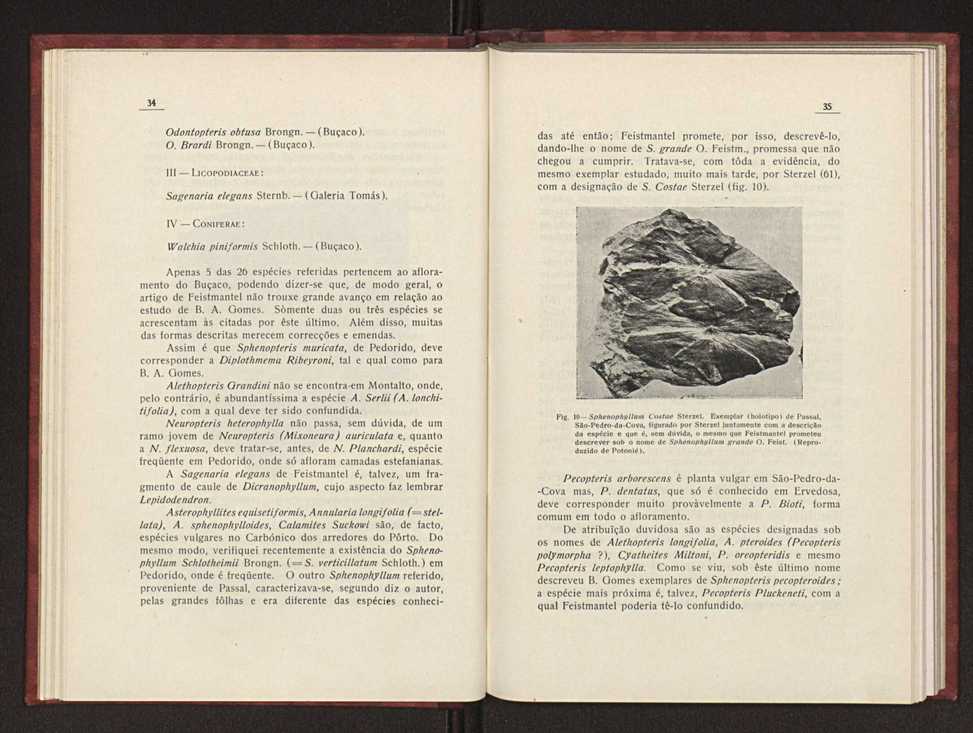 Oantracoltico continental portugus:estratigrafia:tectnica 26