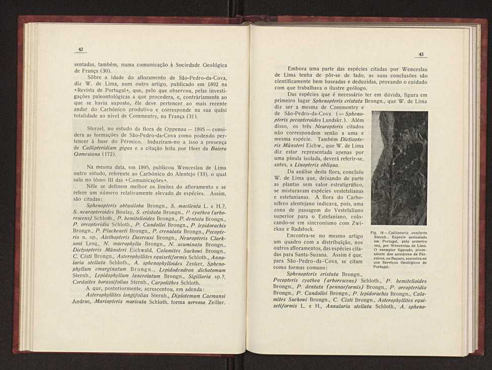 Oantracoltico continental portugus:estratigrafia:tectnica 30