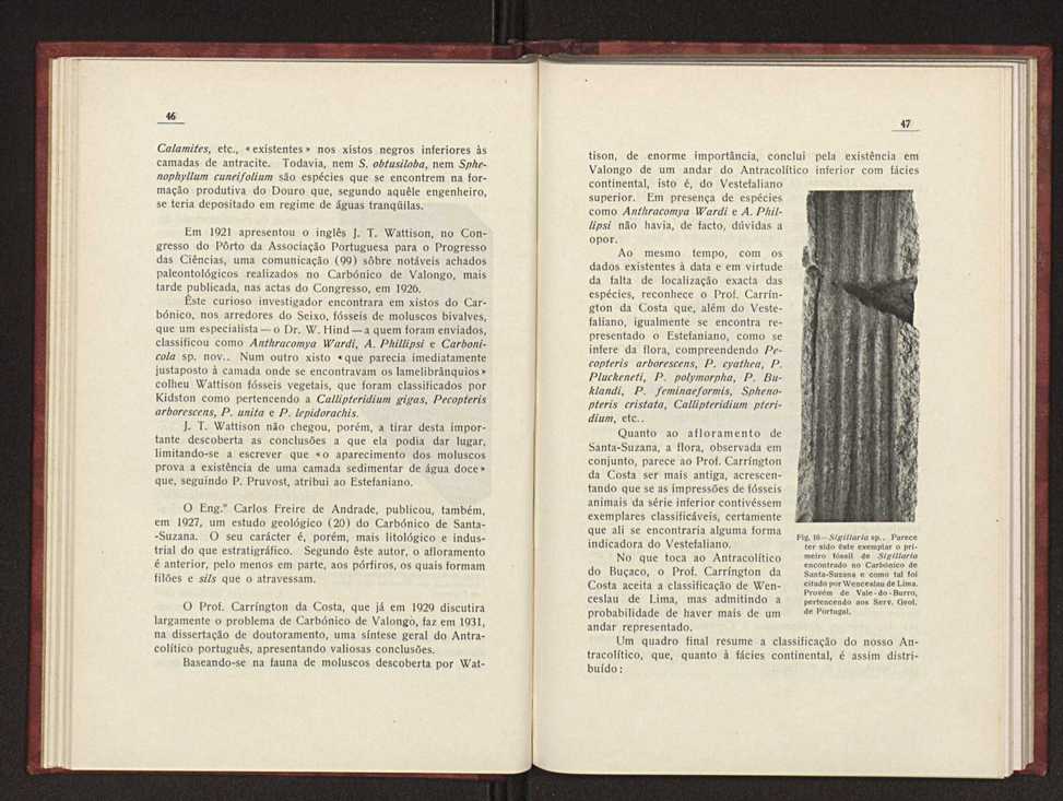 Oantracoltico continental portugus:estratigrafia:tectnica 32