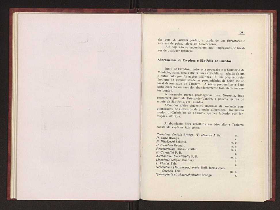 Oantracoltico continental portugus:estratigrafia:tectnica 41