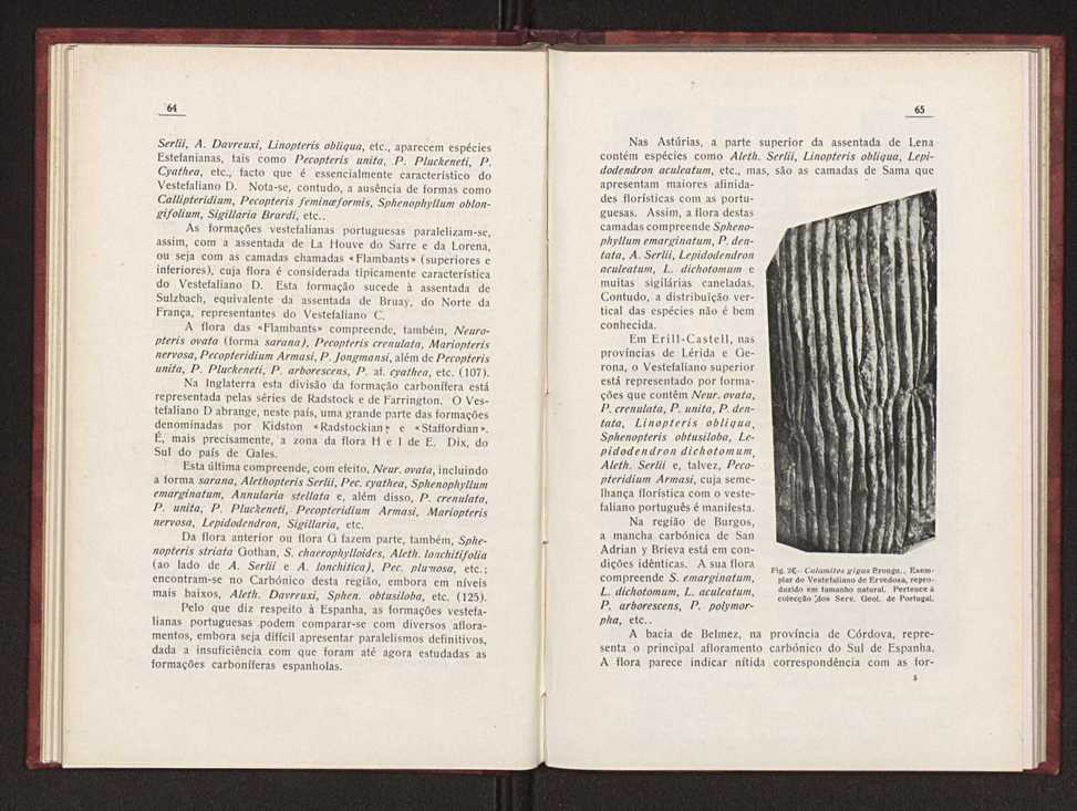 Oantracoltico continental portugus:estratigrafia:tectnica 45