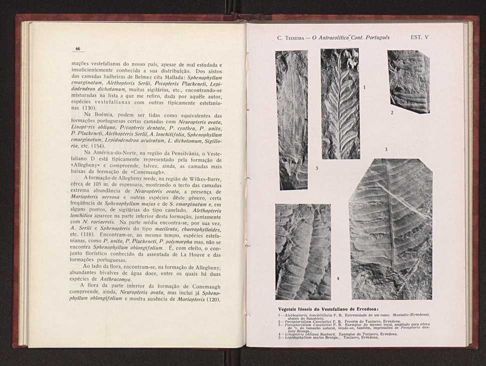 Oantracoltico continental portugus:estratigrafia:tectnica 46