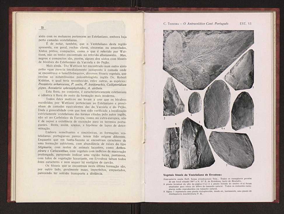 Oantracoltico continental portugus:estratigrafia:tectnica 50