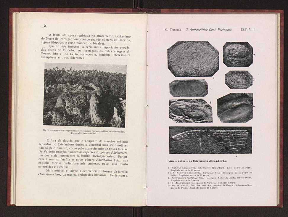 Oantracoltico continental portugus:estratigrafia:tectnica 54