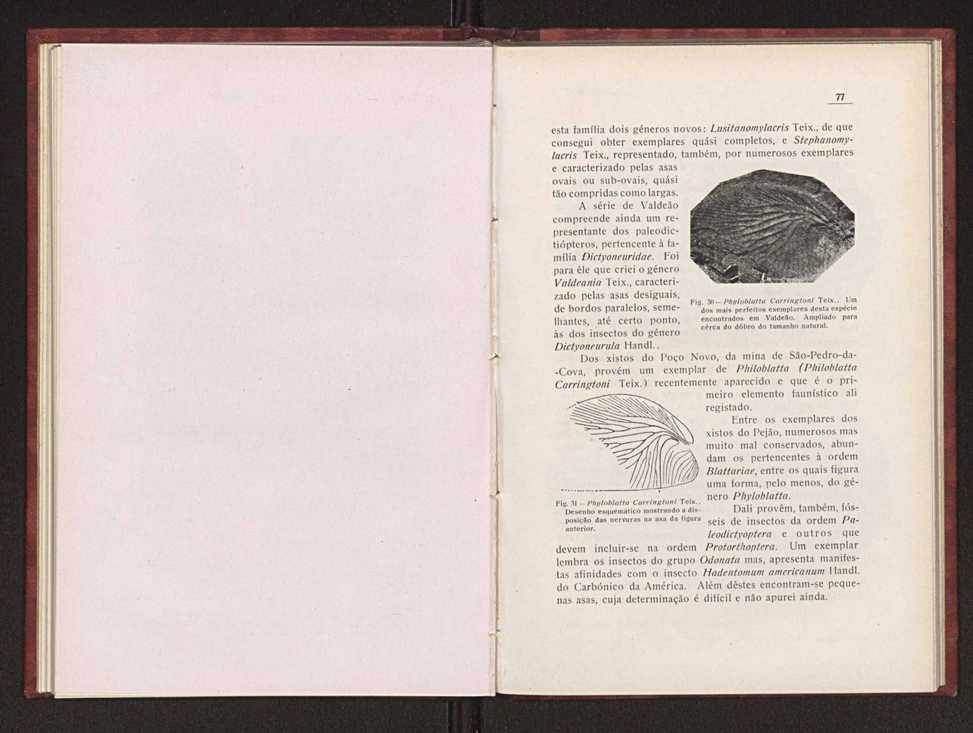 Oantracoltico continental portugus:estratigrafia:tectnica 55