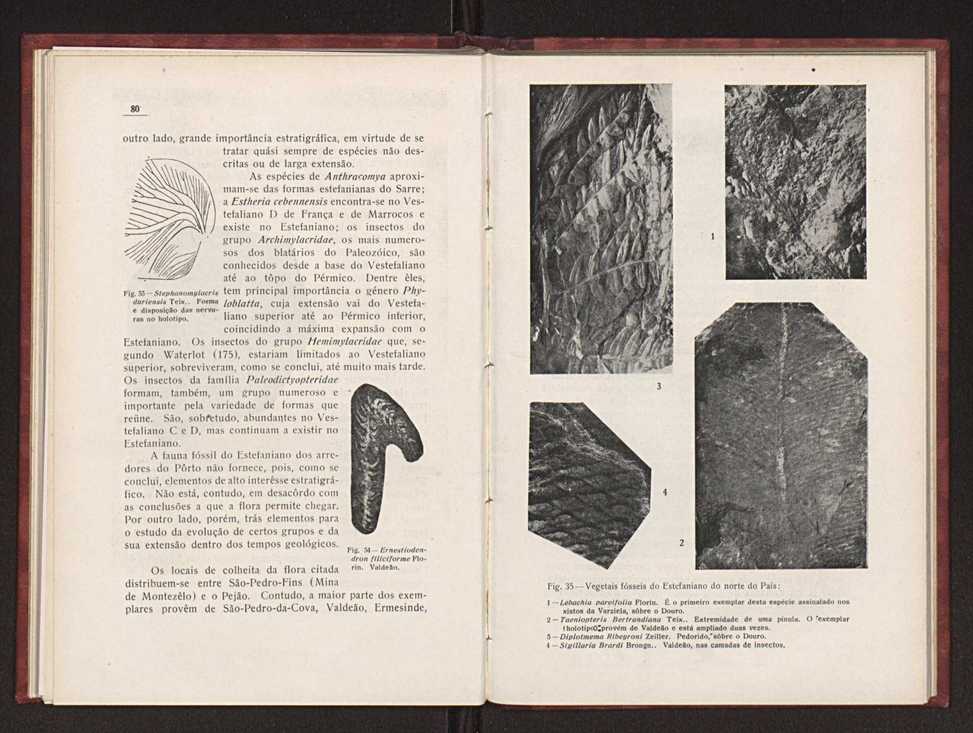 Oantracoltico continental portugus:estratigrafia:tectnica 59