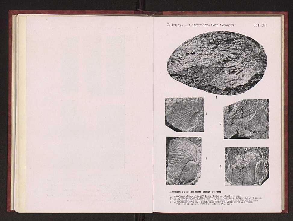 Oantracoltico continental portugus:estratigrafia:tectnica 61