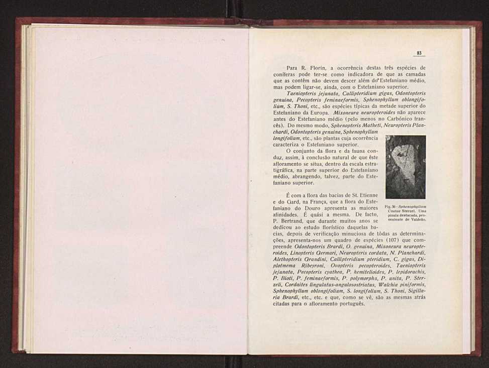 Oantracoltico continental portugus:estratigrafia:tectnica 62
