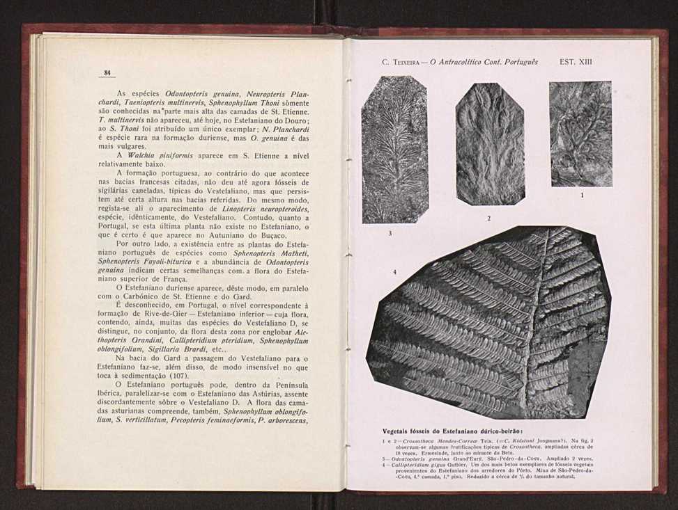 Oantracoltico continental portugus:estratigrafia:tectnica 63