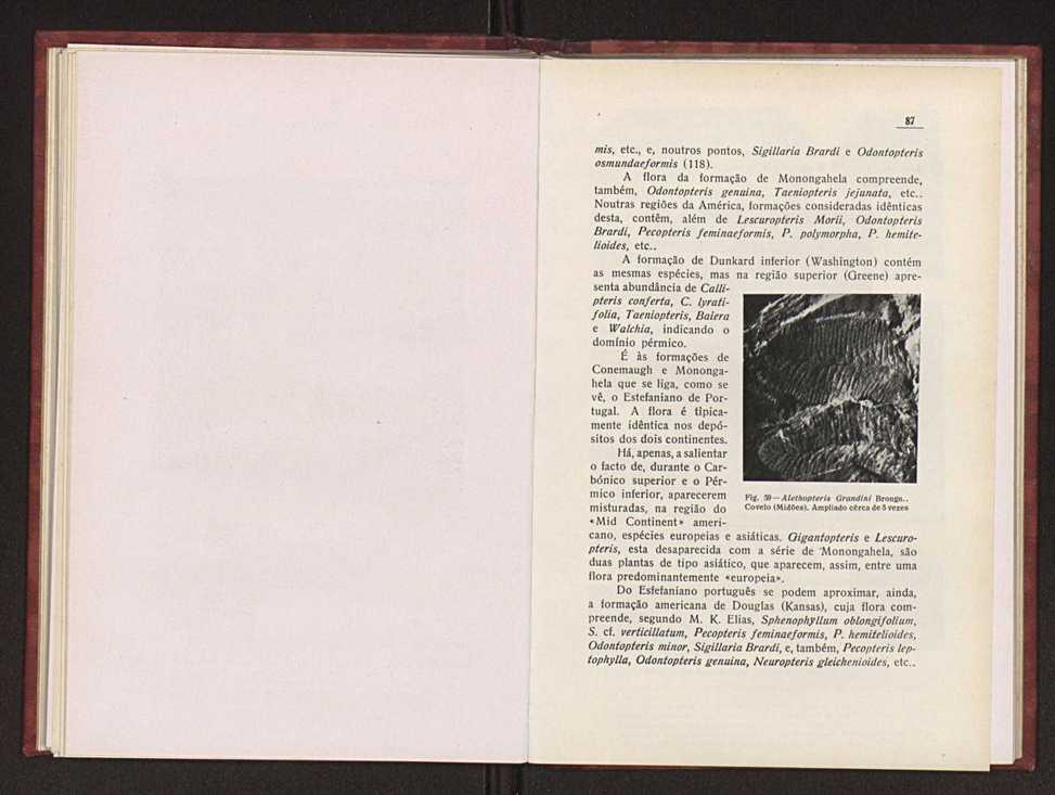 Oantracoltico continental portugus:estratigrafia:tectnica 67