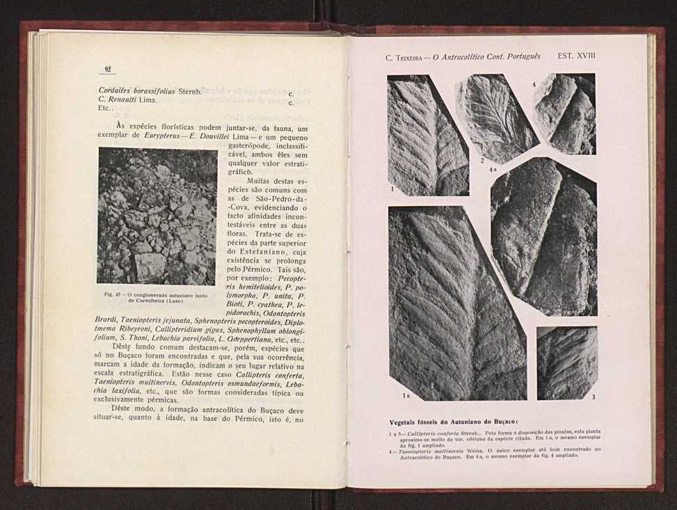 Oantracoltico continental portugus:estratigrafia:tectnica 72