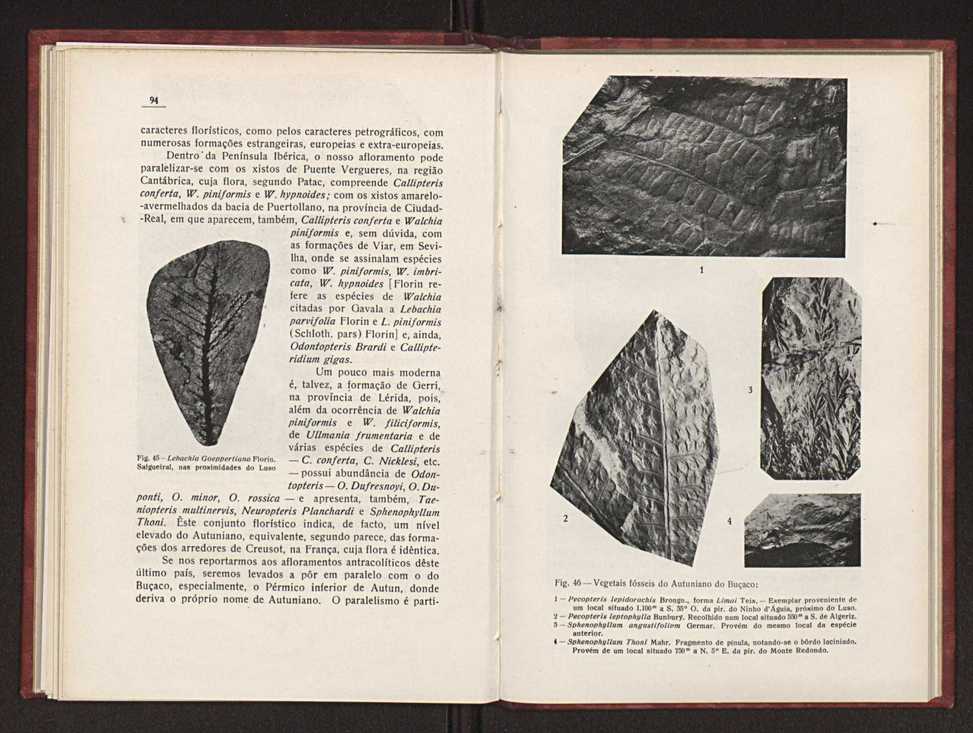 Oantracoltico continental portugus:estratigrafia:tectnica 74