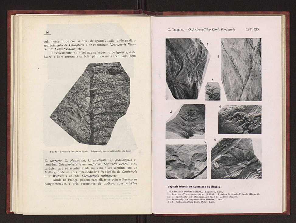 Oantracoltico continental portugus:estratigrafia:tectnica 75