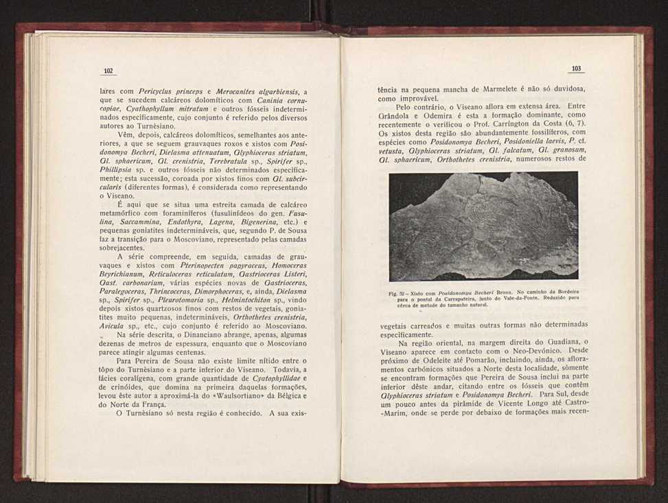 Oantracoltico continental portugus:estratigrafia:tectnica 80