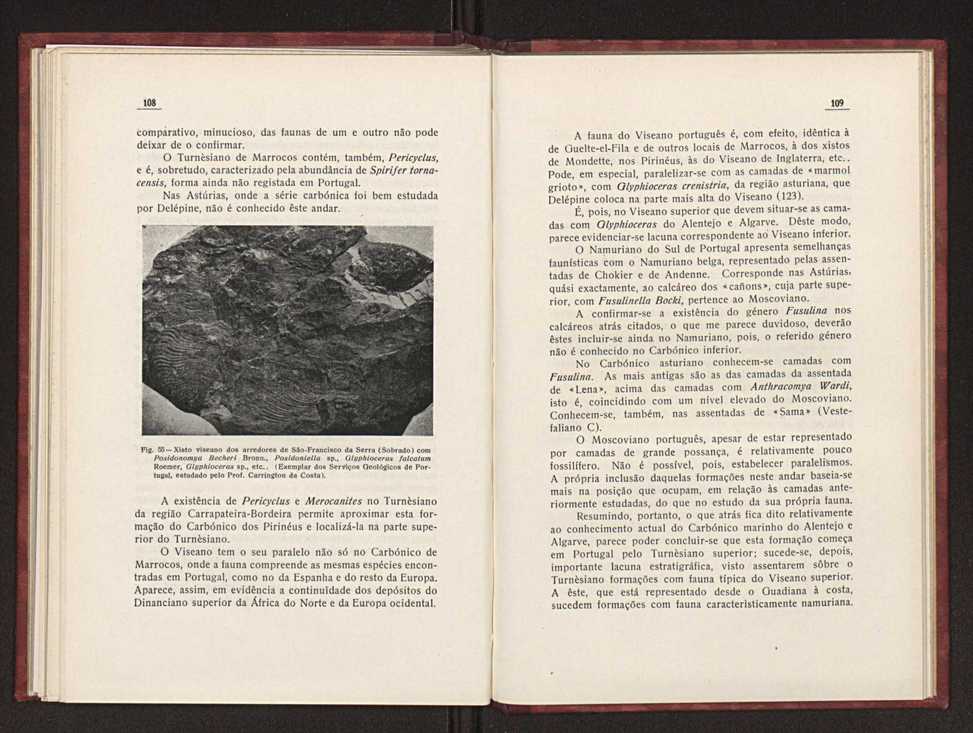 Oantracoltico continental portugus:estratigrafia:tectnica 83
