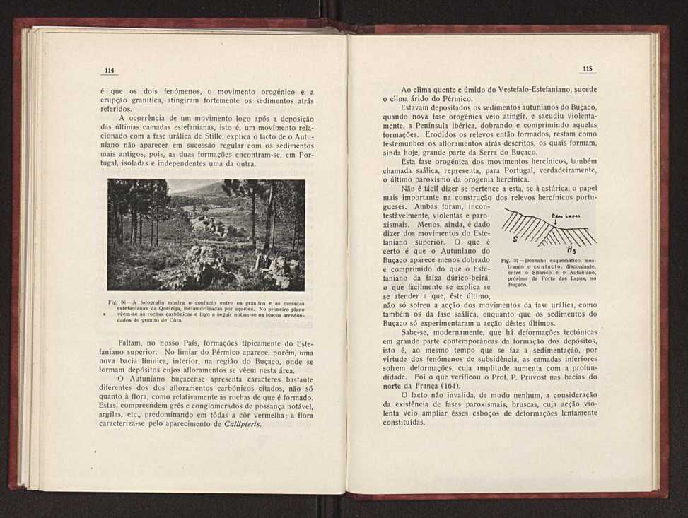 Oantracoltico continental portugus:estratigrafia:tectnica 86