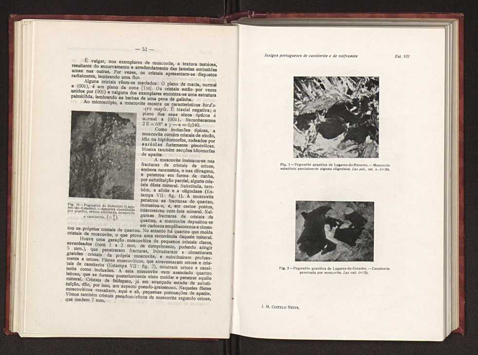 Jazigos portugueses de cassiterite e de volframite 40