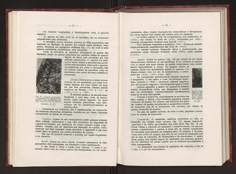 Jazigos portugueses de cassiterite e de volframite 42
