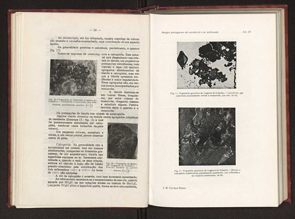 Jazigos portugueses de cassiterite e de volframite 44