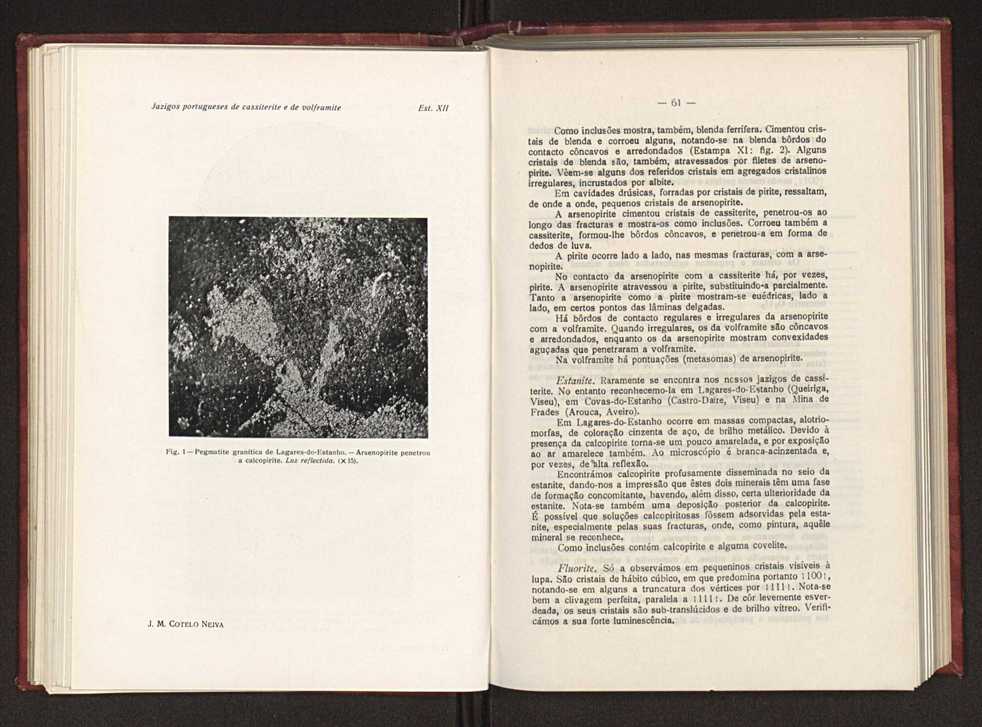 Jazigos portugueses de cassiterite e de volframite 47