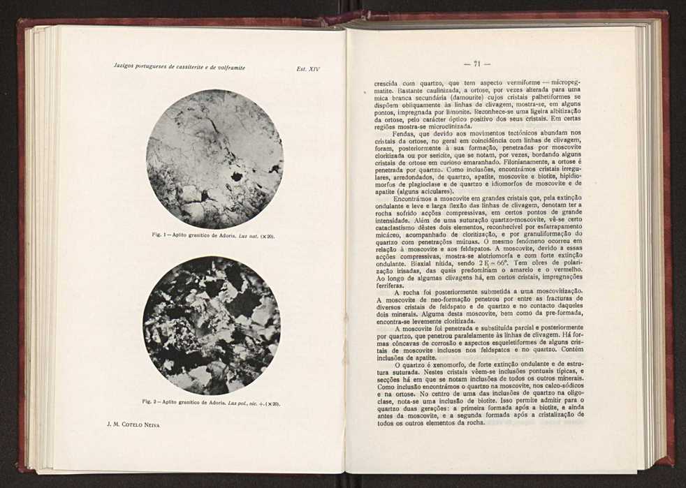Jazigos portugueses de cassiterite e de volframite 54